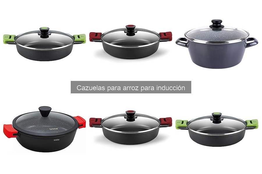 Tipos de cazuelas para arroz de inducción: guía completa