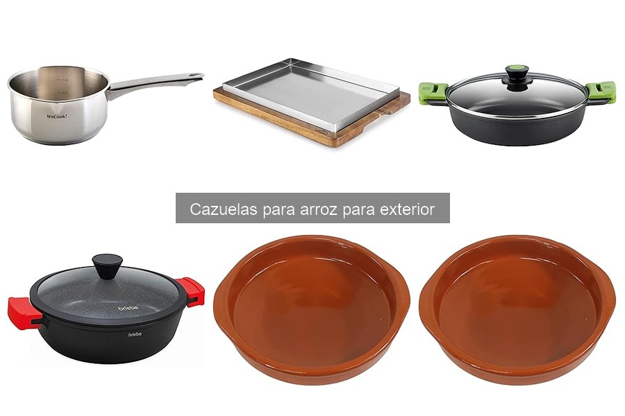 Tipos de cazuelas para arroz exterior: guía y opciones