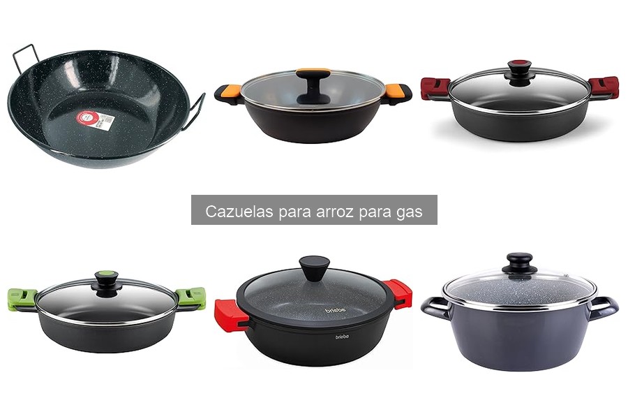 Tipos de cazuelas para arroz para gas: Guía y comparativa