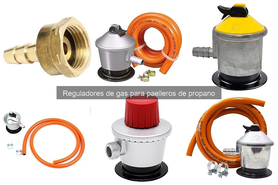 Tipos de reguladores de gas para paelleros de propano