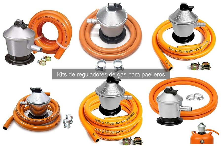 Tipos de reguladores de gas para paelleros: guía completa