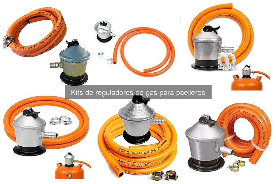 Ventajas y desventajas de kits de reguladores de gas para paelleros