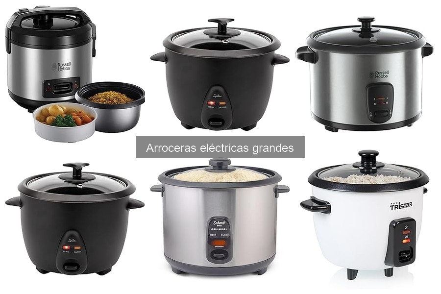 Ventajas y desventajas de las arroceras eléctricas grandes